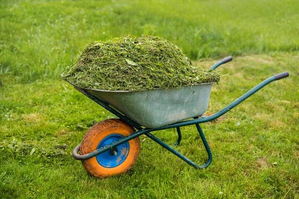 How Lawn Care Services Can Boost Your Curb Appeal