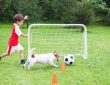 Affordable Artificial Grass Installation Near Me What to Know
