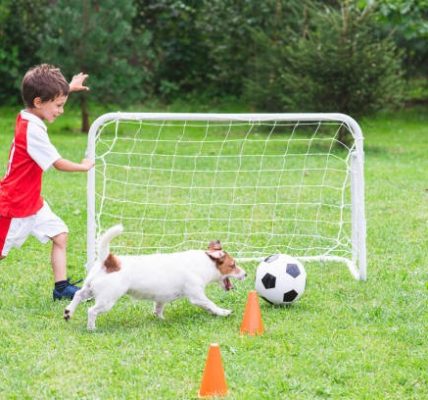 Affordable Artificial Grass Installation Near Me What to Know