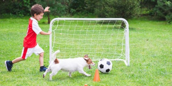 Affordable Artificial Grass Installation Near Me What to Know