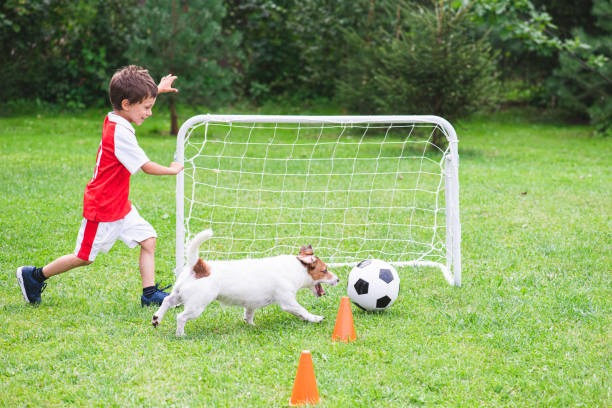 Affordable Artificial Grass Installation Near Me What to Know